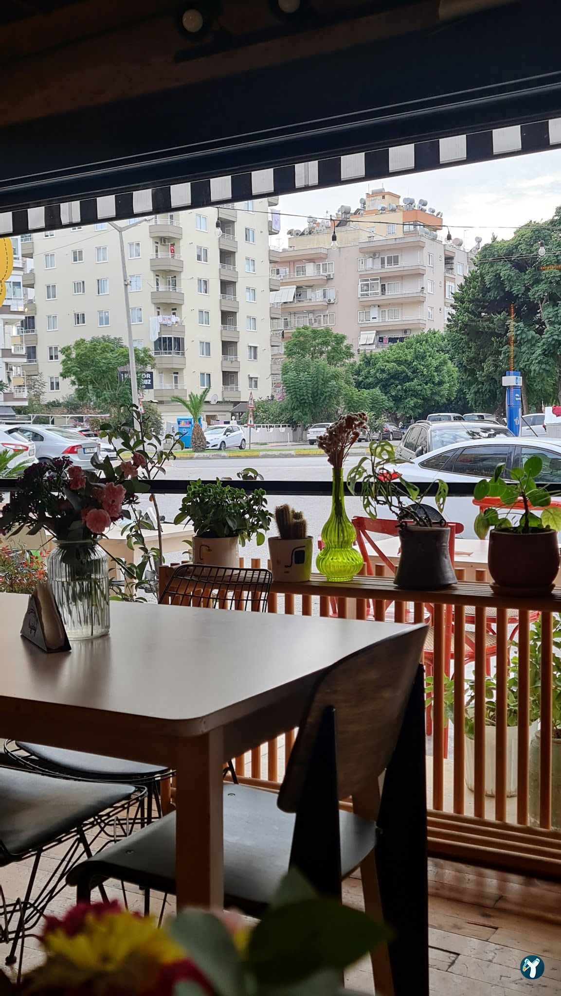 Buğday Mersin