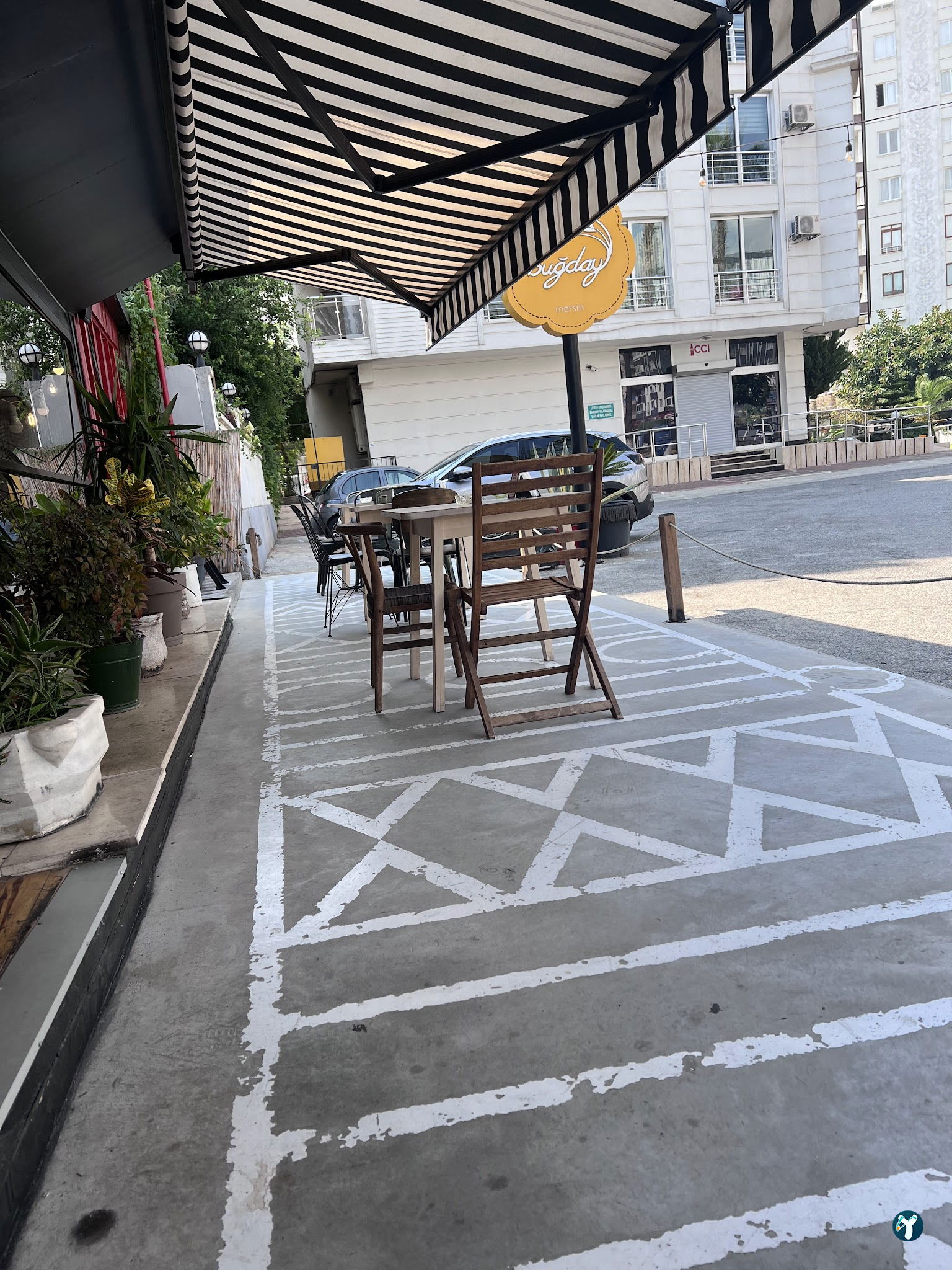 Buğday Mersin