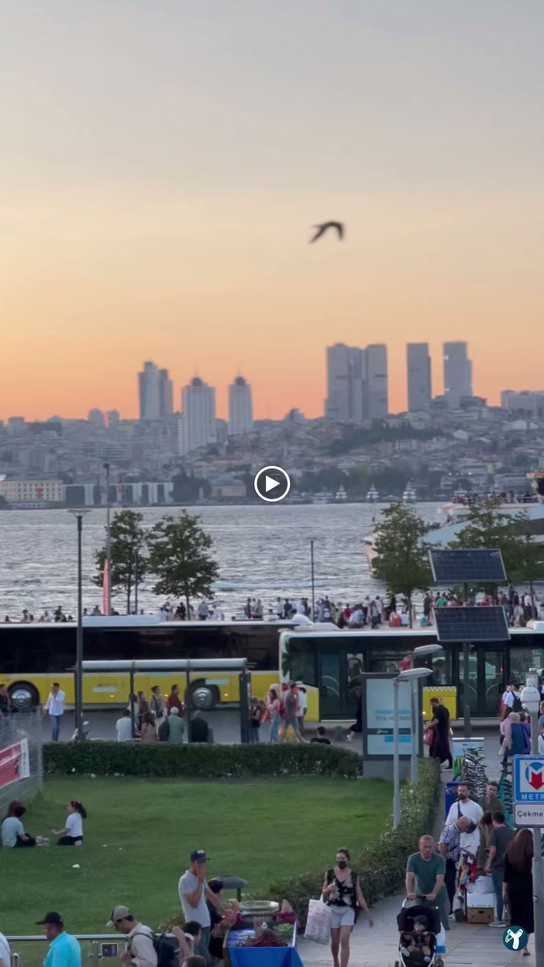 Saray Balık Köfte