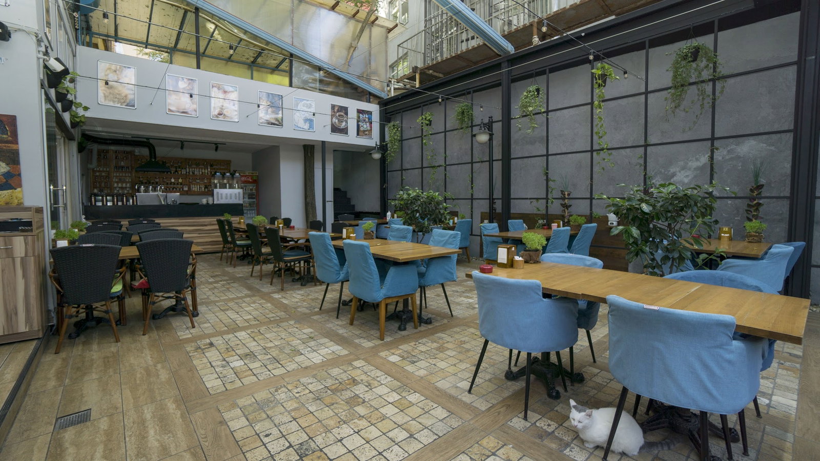 Orange Cafe Lounge & Restaurant