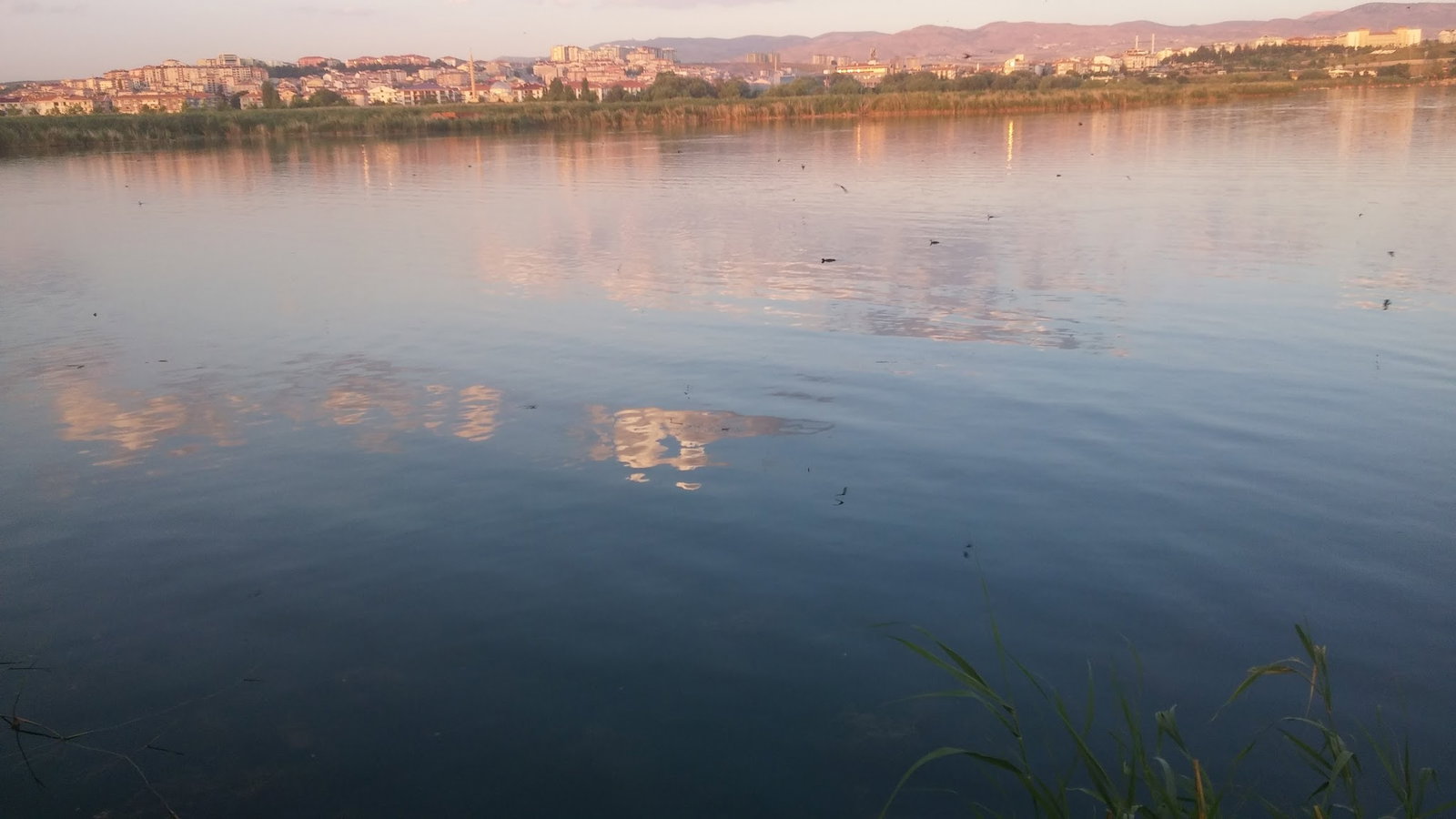 Liman Restaurant & Cafe