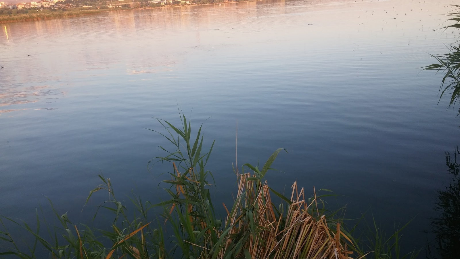 Liman Restaurant & Cafe