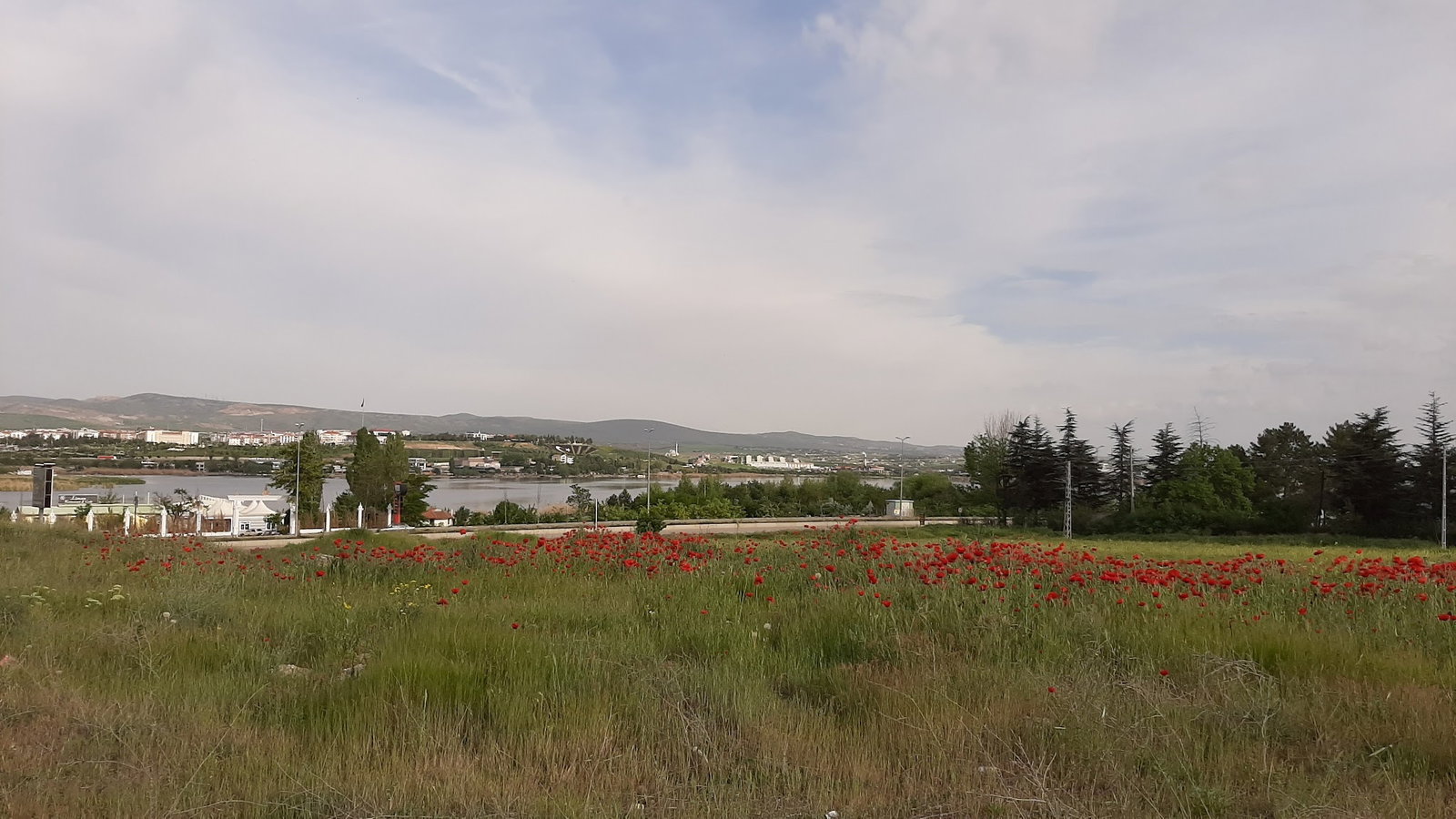 Liman Restaurant & Cafe