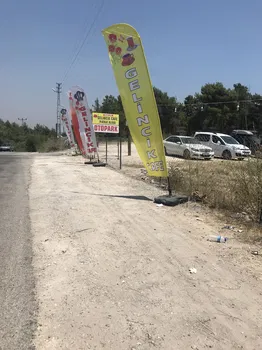Gelincik Teras resimleri