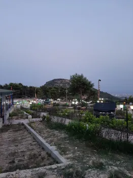 Gelincik Teras resimleri