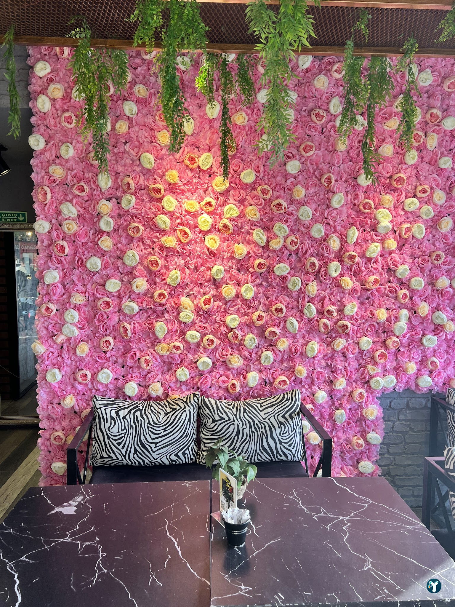 Shrup Lounge Cafe Nargile