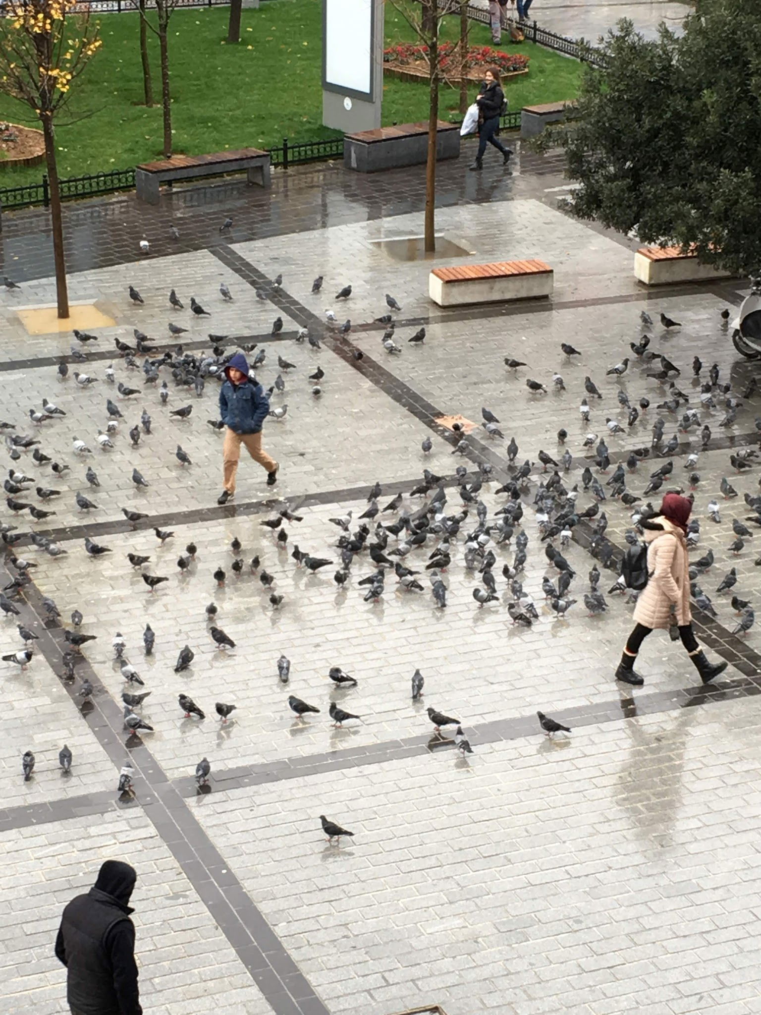 Shrup Lounge Cafe Nargile