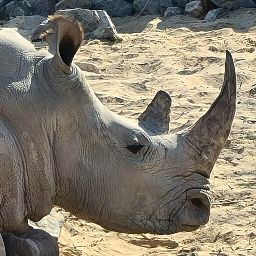 Nusr-Et Steakhouse Etiler