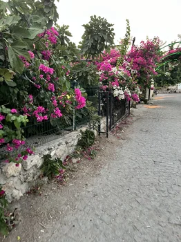 Rumeli Meyhanesi resimleri