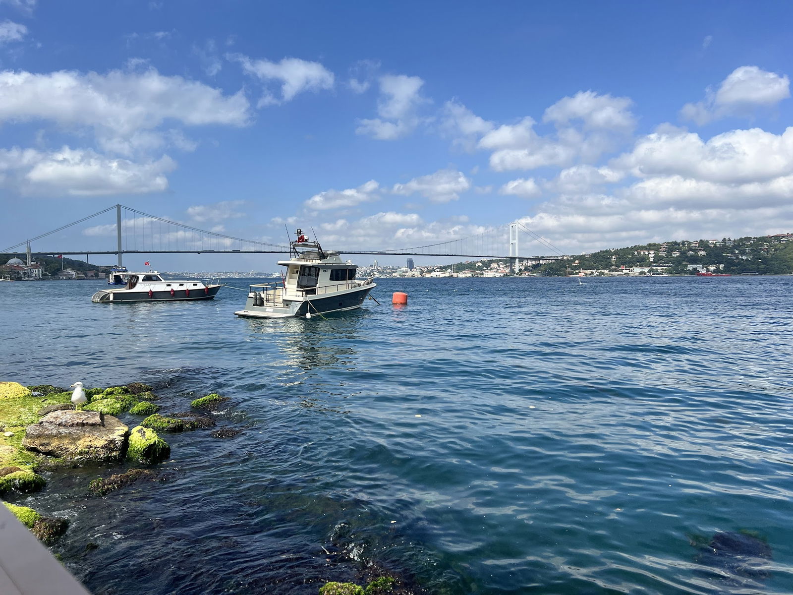 Emirgan Sütiş Çengelköy