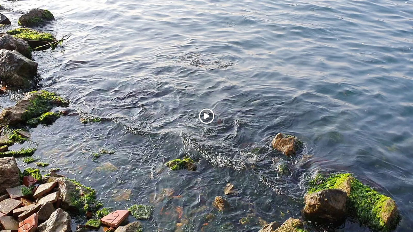 Emirgan Sütiş Çengelköy