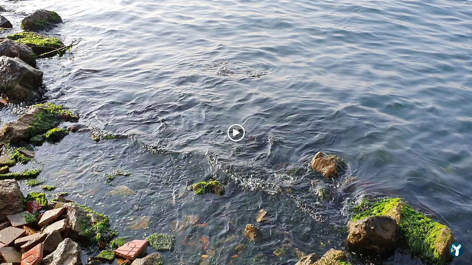 Emirgan Sütiş Çengelköy