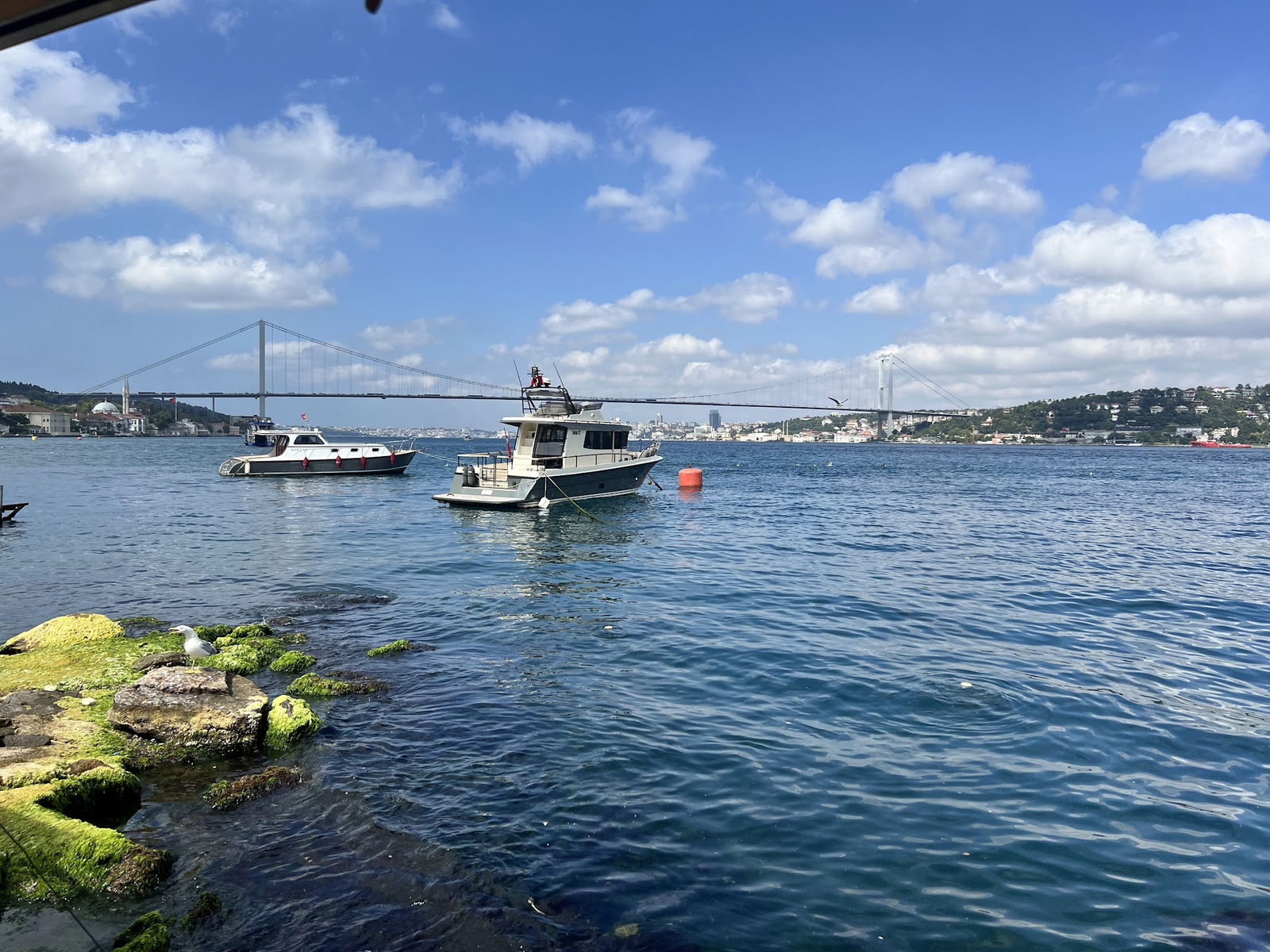 Emirgan Sütiş Çengelköy