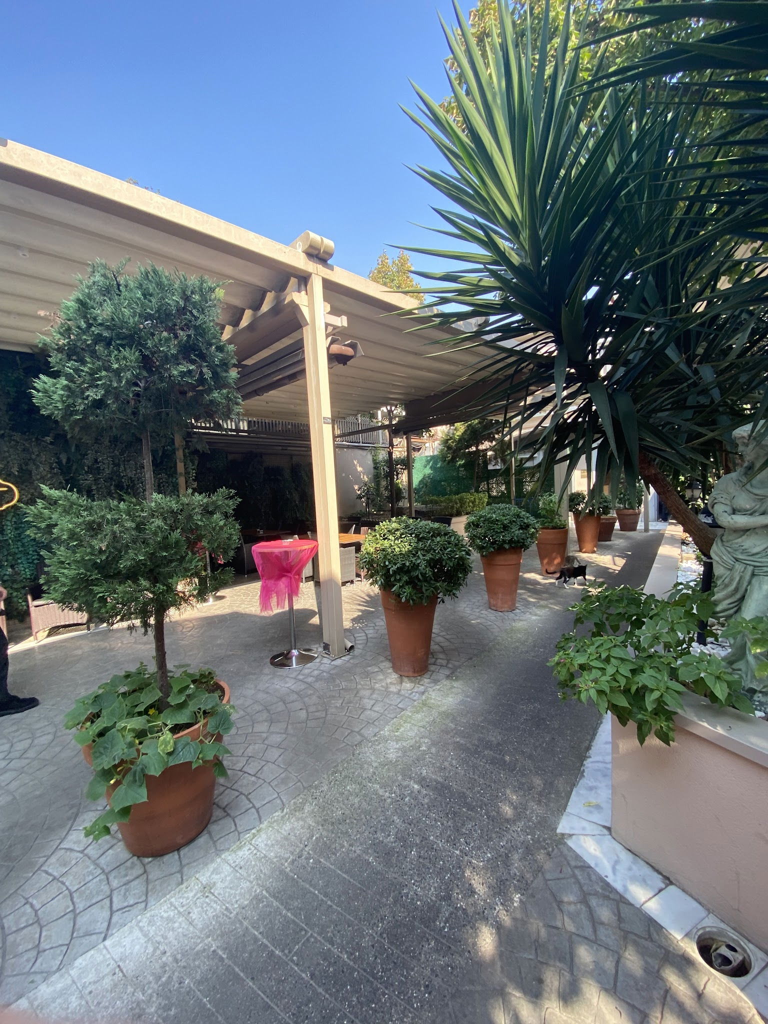 Emirgan Sütiş Çengelköy