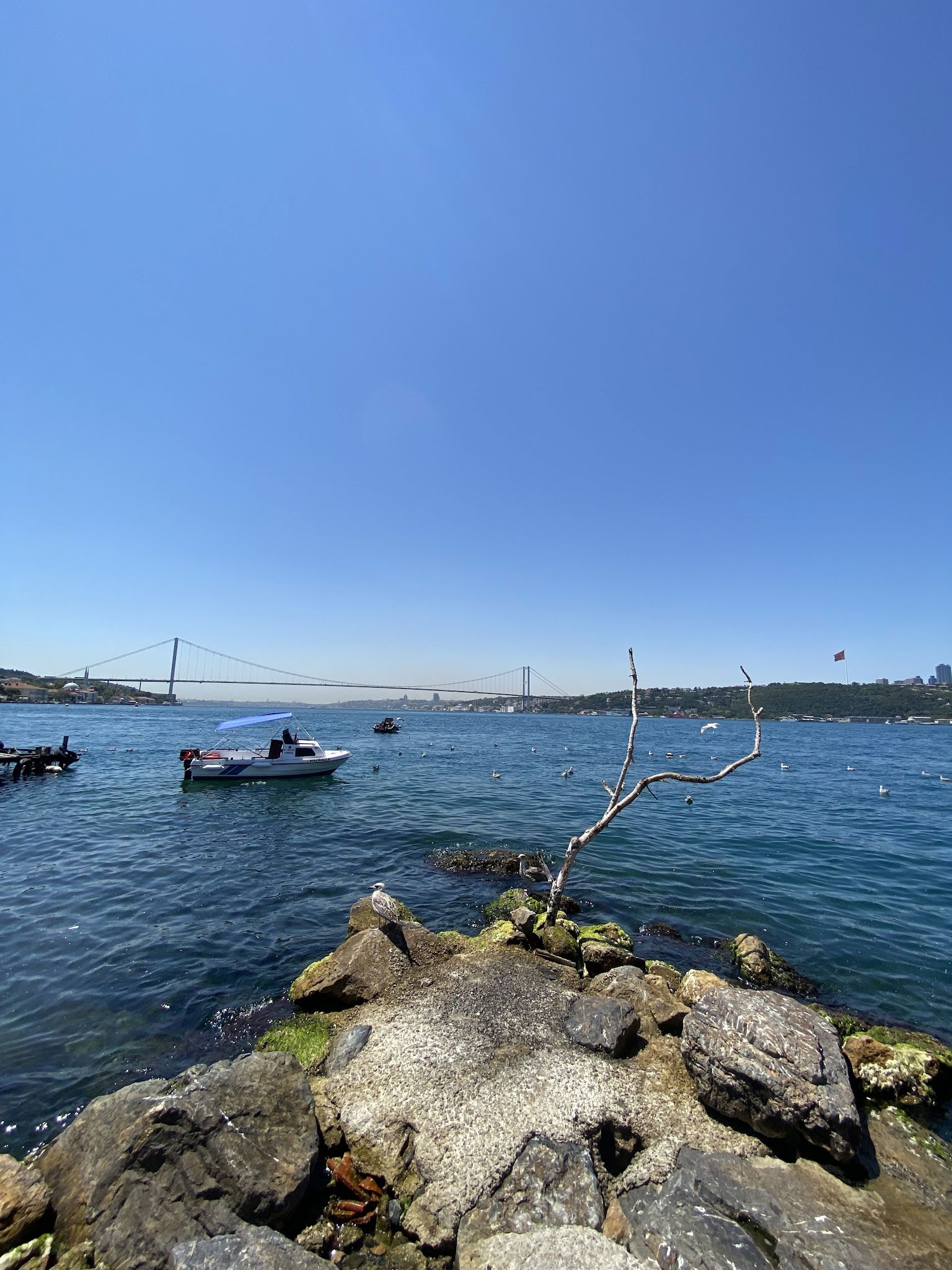 Emirgan Sütiş Çengelköy