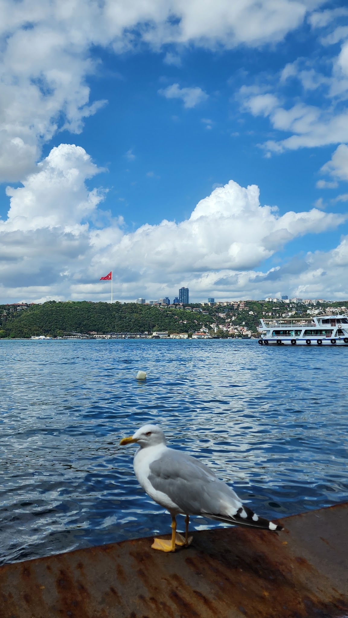 Emirgan Sütiş Çengelköy