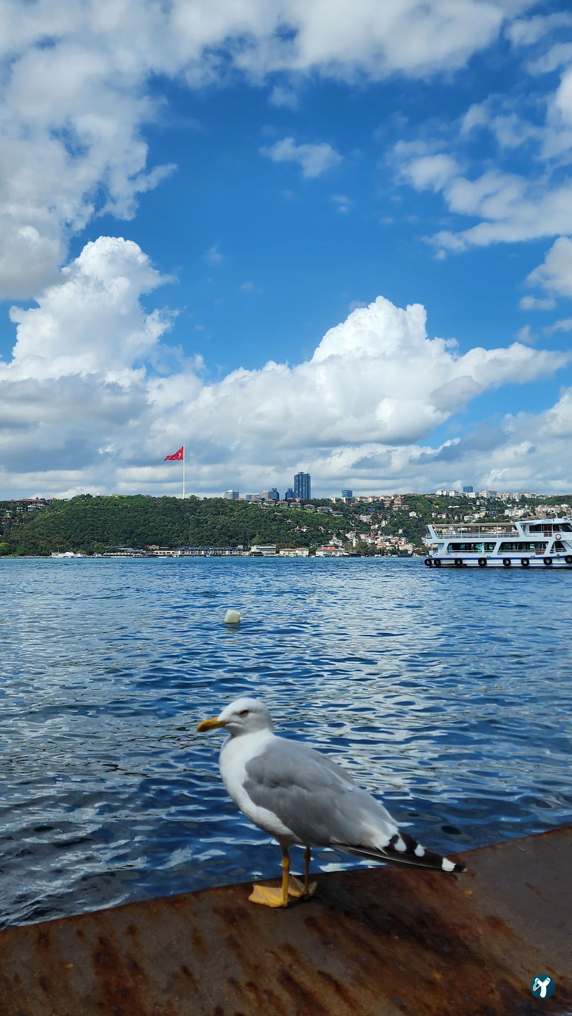 Emirgan Sütiş Çengelköy