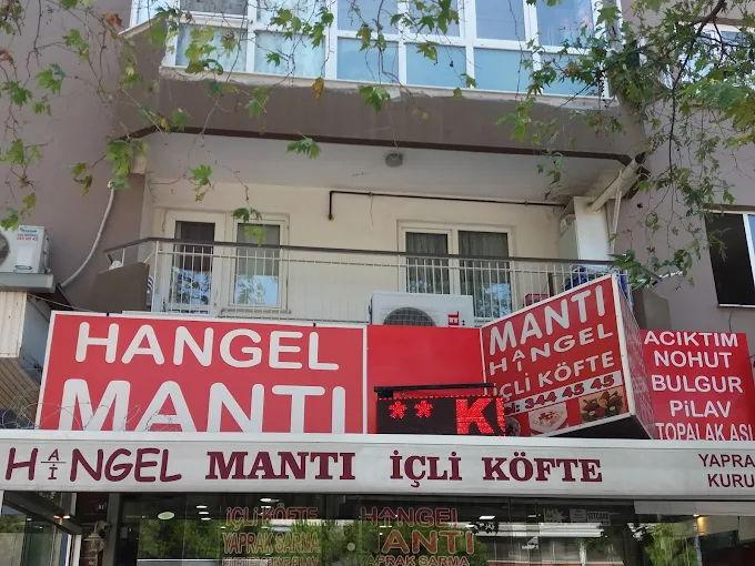 HANGEL MANTI İÇLİ KÖFTE YAPRAK SARMA