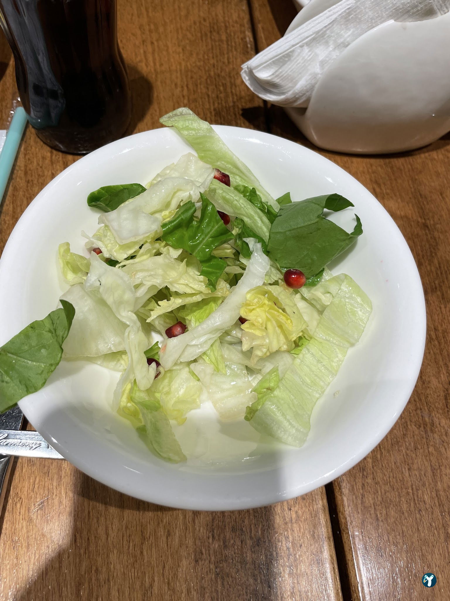 Tarihi Demirci Döner Lokantası Ataşehir Watergarden