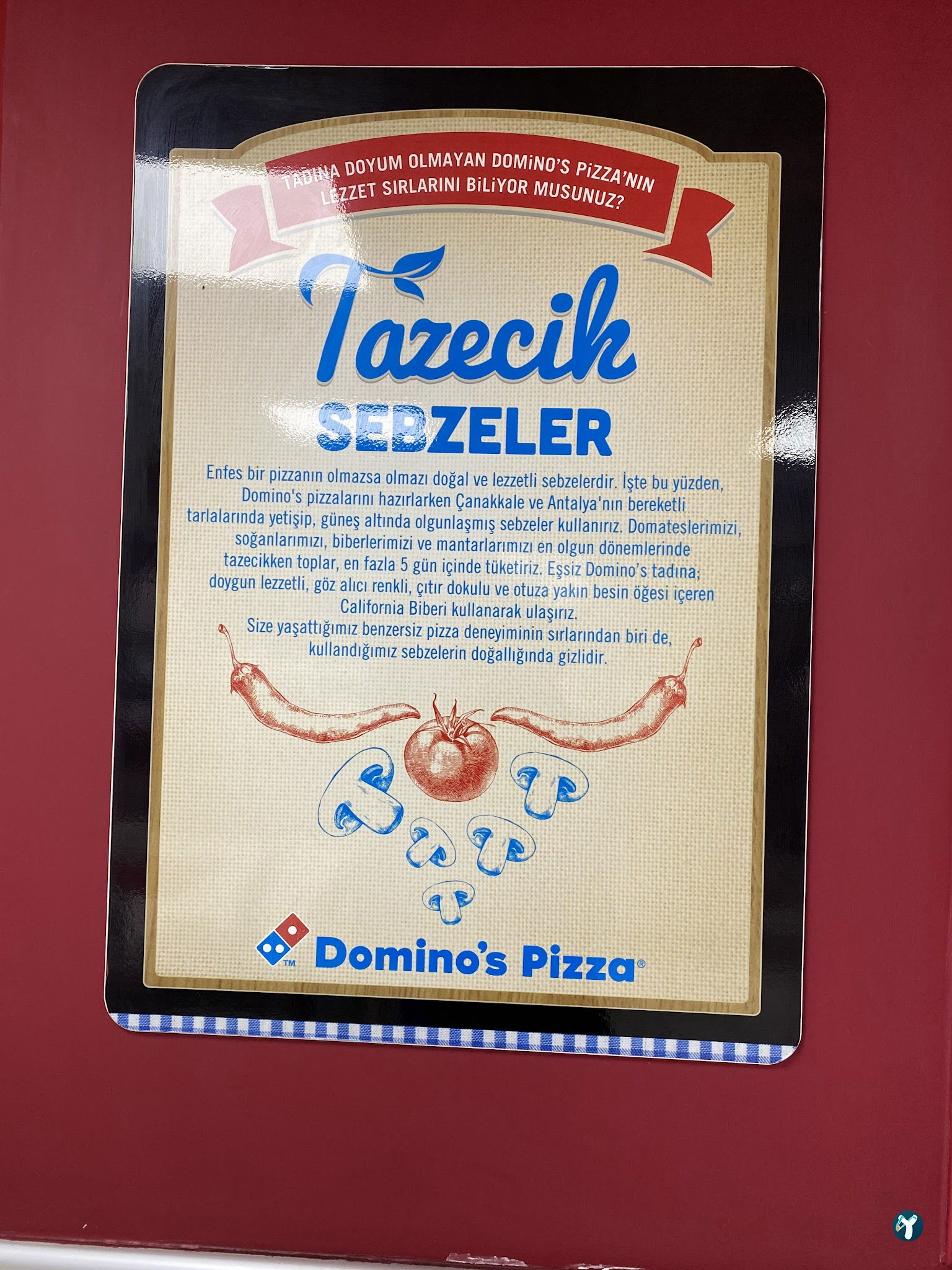 Domino'S Pizza
