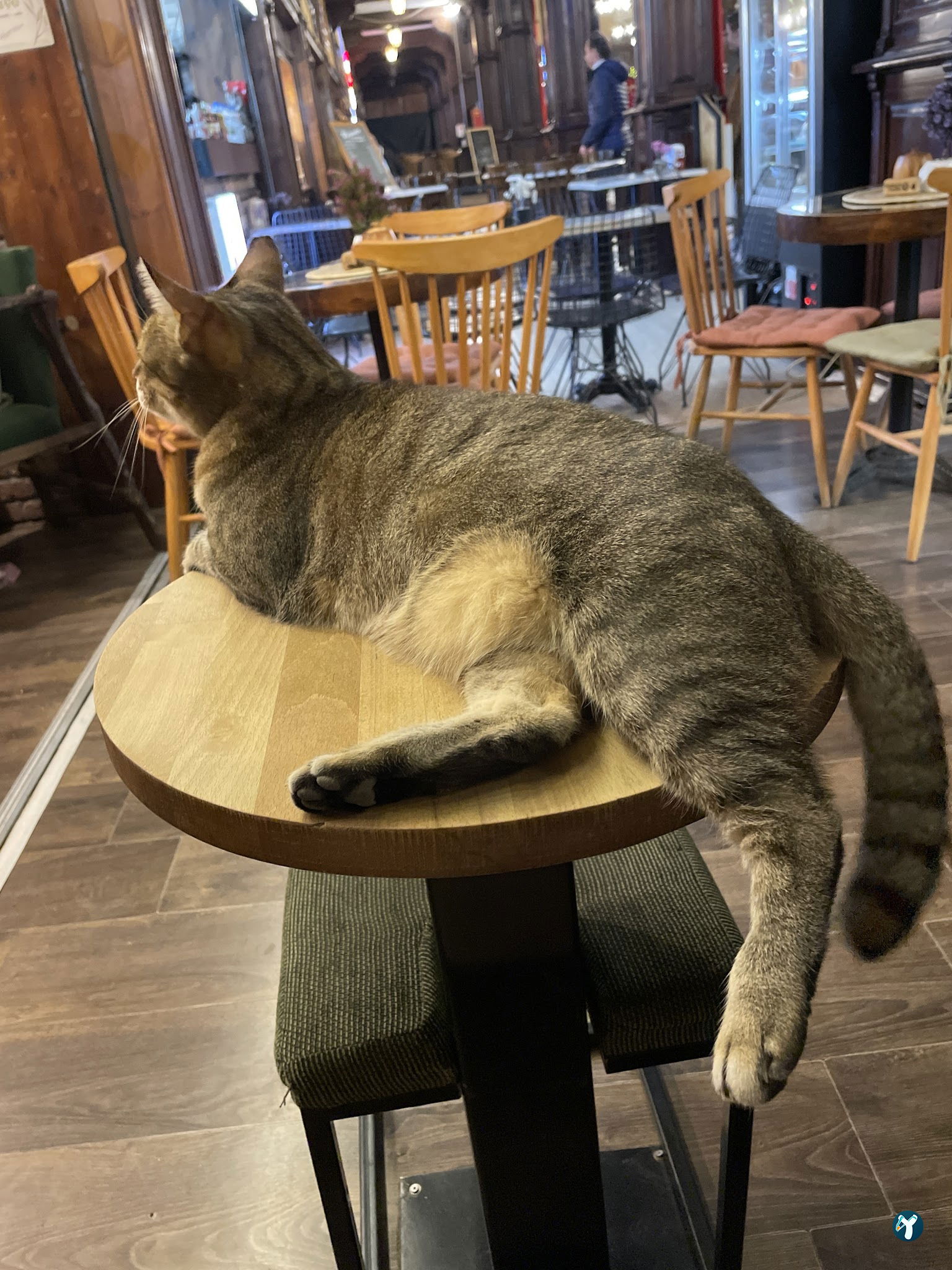 Yosun Cafe