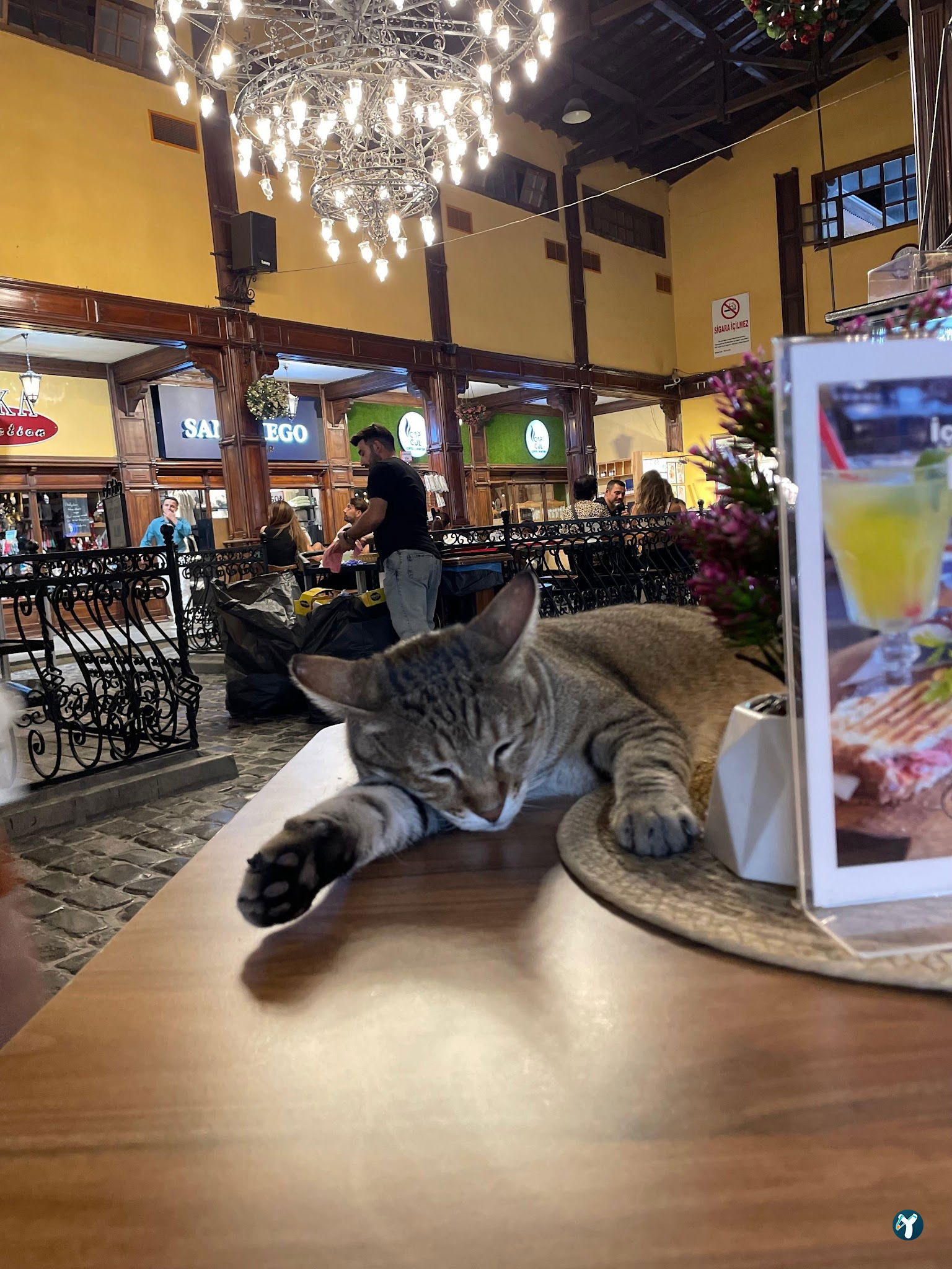 Yosun Cafe