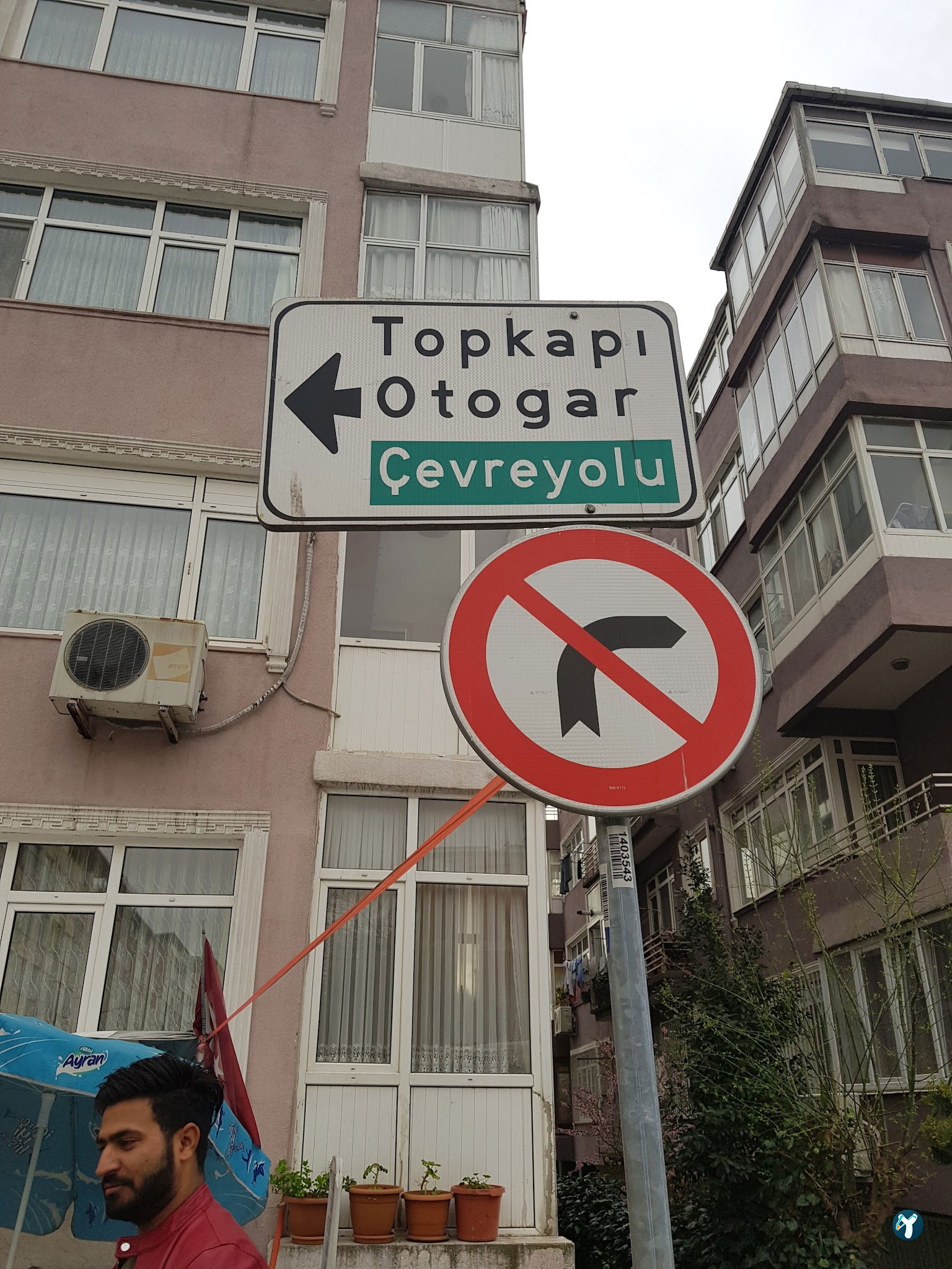 Beyaz Saray