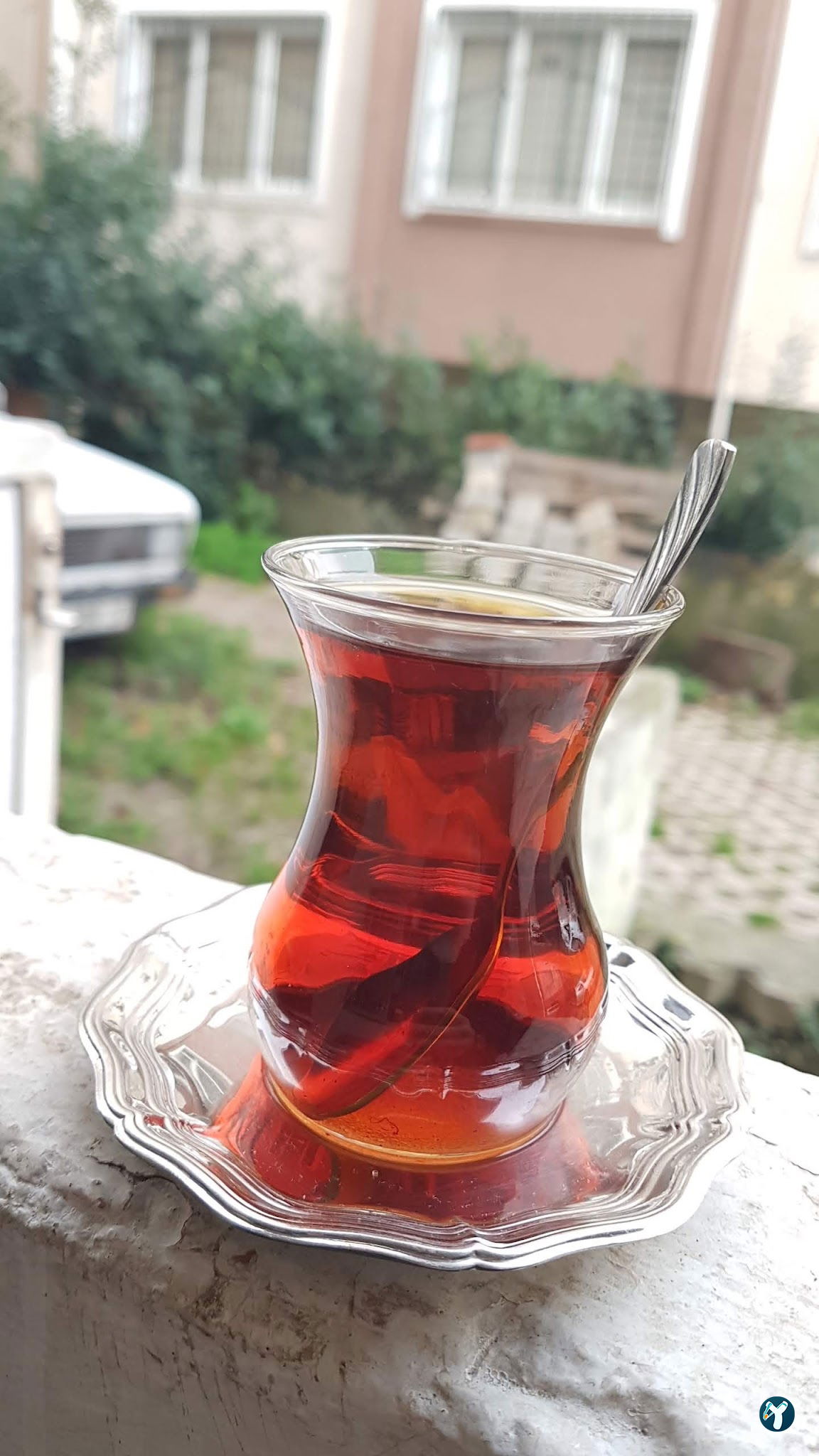 Beyaz Saray
