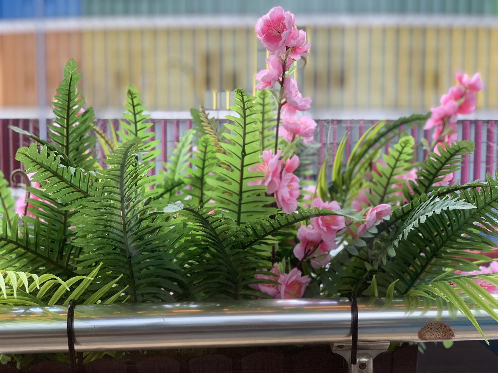 Has Bahçe Cafe & Restaurant