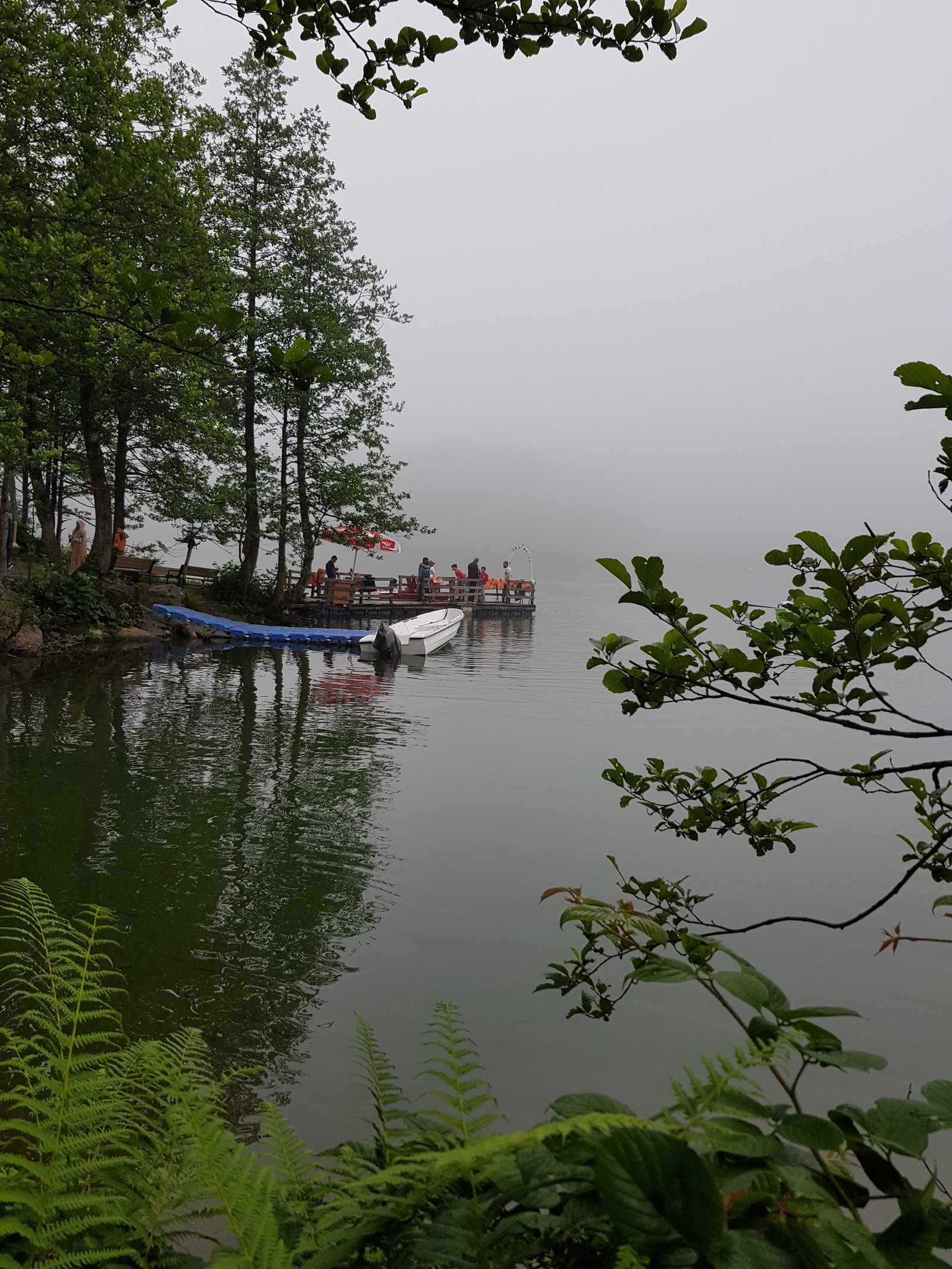 Didim Restorant Rize