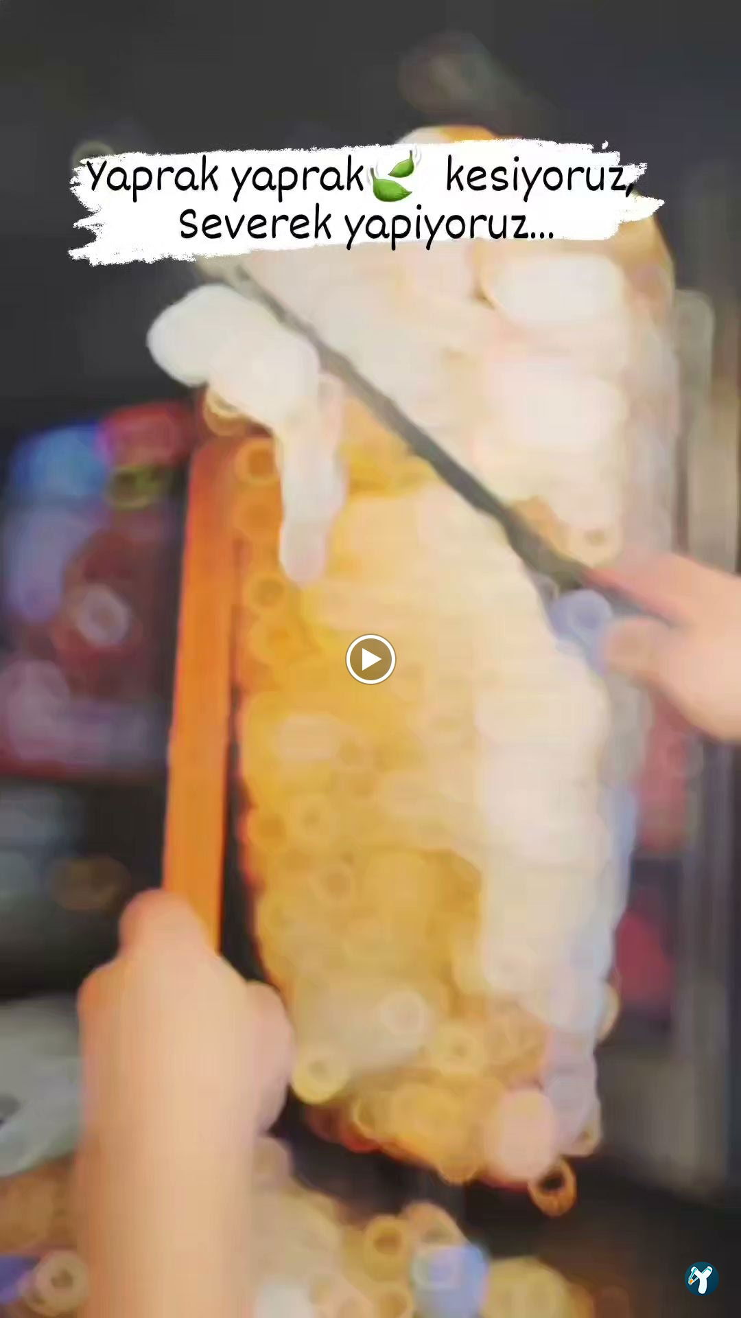 Atom Soslu Döner