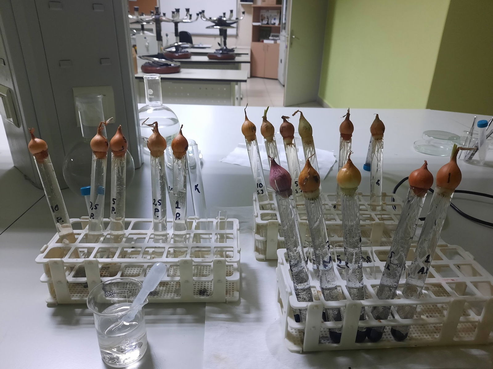 Tuna Sosyal Tesisleri