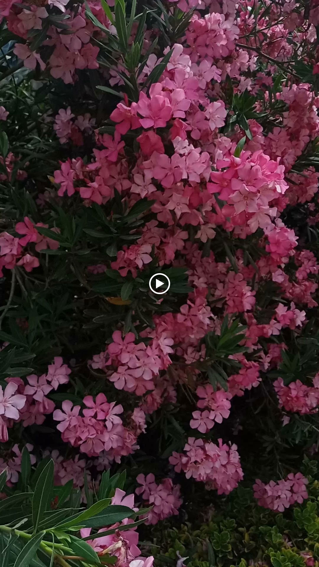 Tuna Sosyal Tesisleri