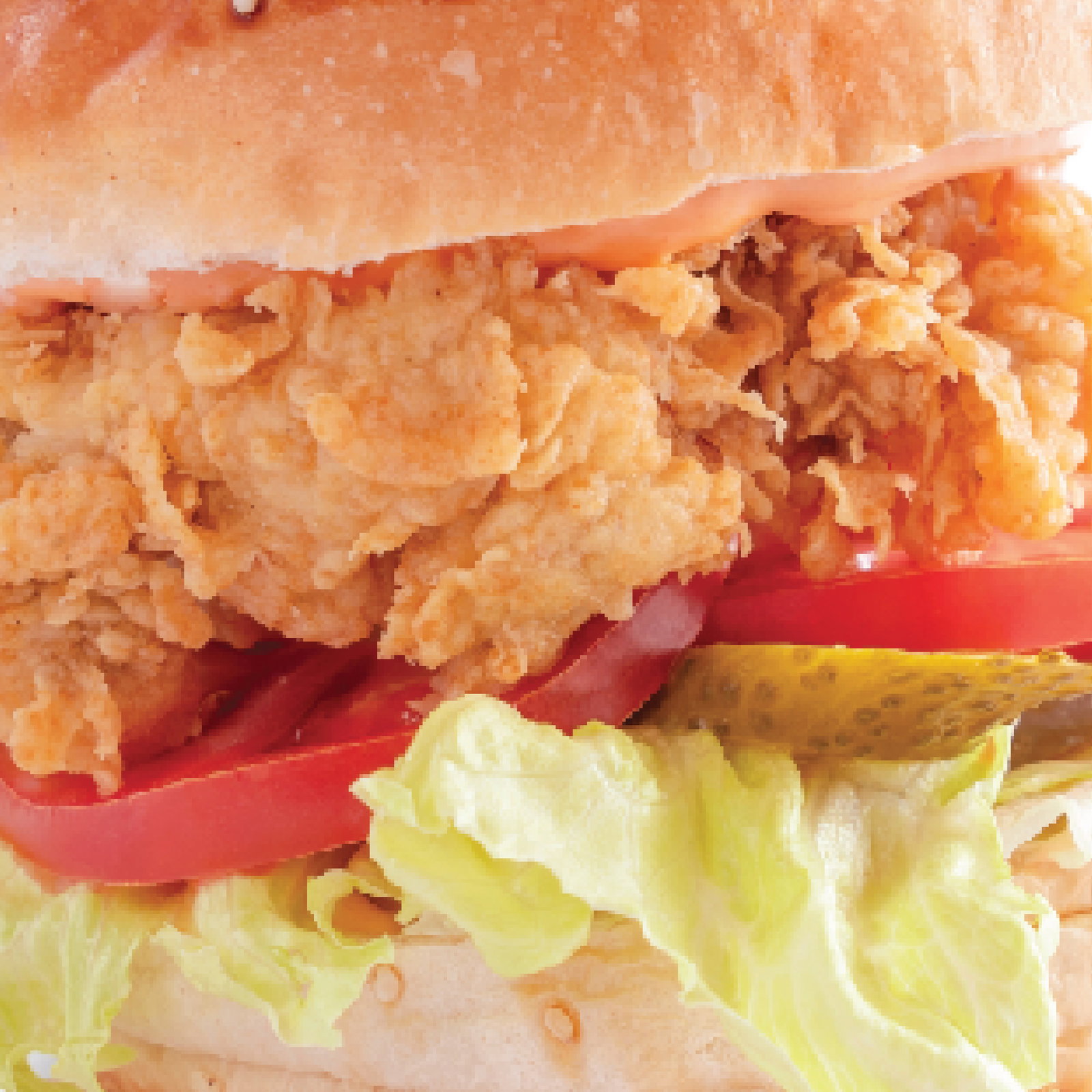 Yeni Tavuk Ortabayir