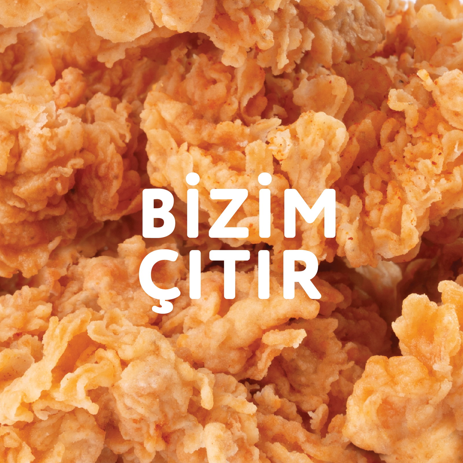 Yeni Tavuk Ortabayir