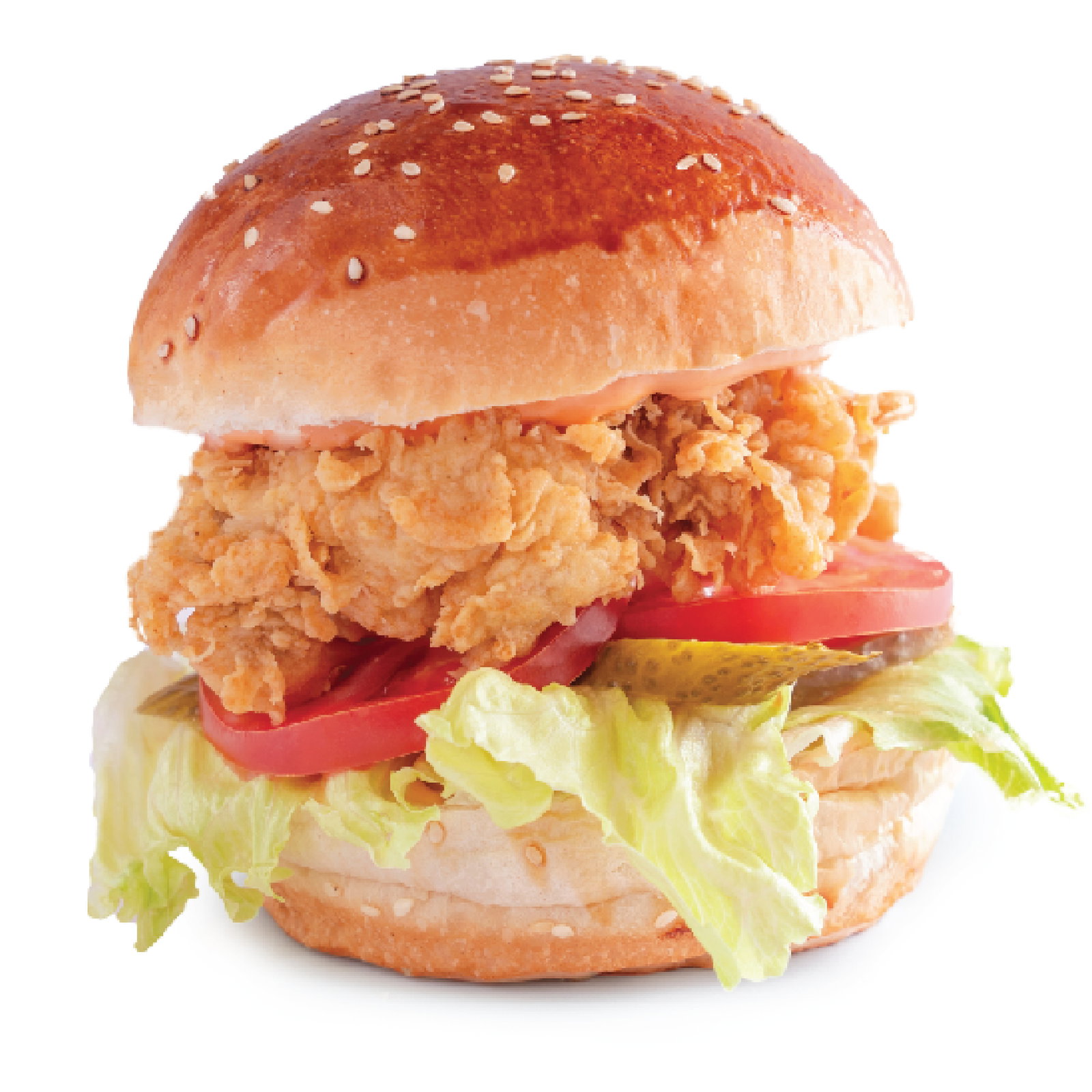 Yeni Tavuk Ortabayir