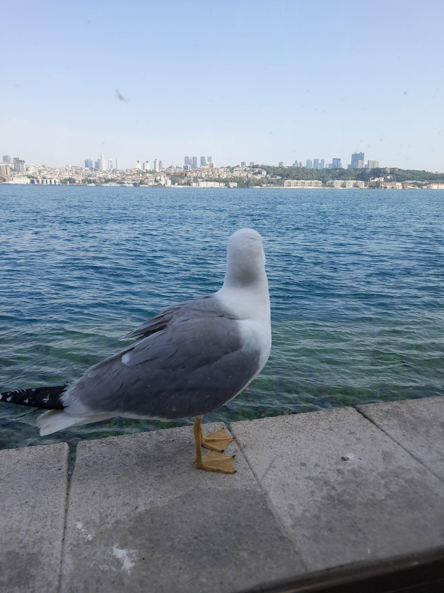 Sgk Üsküdar Sosyal Tesisi Ve Eğitim Merkezi