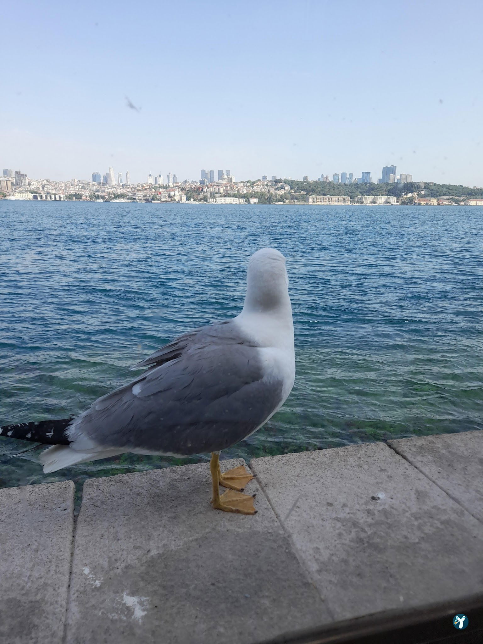 Sgk Üsküdar Sosyal Tesisi Ve Eğitim Merkezi