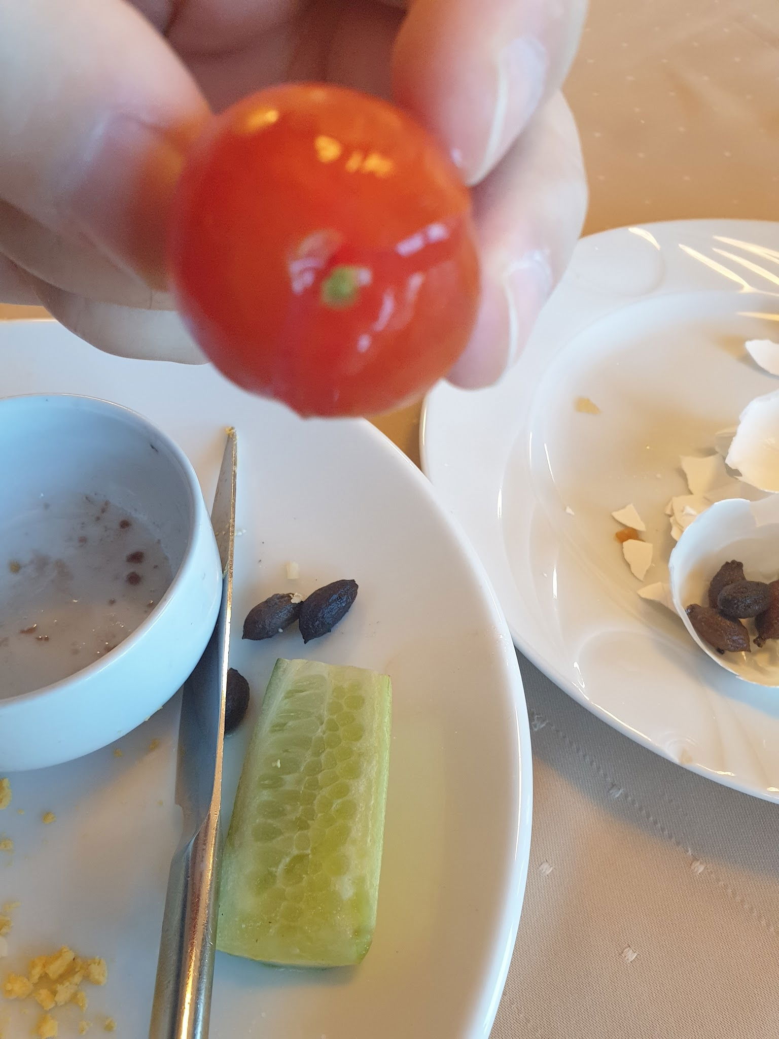 Sgk Üsküdar Sosyal Tesisi Ve Eğitim Merkezi