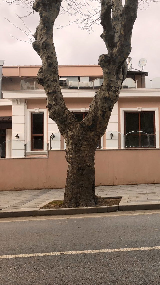 Sgk Üsküdar Sosyal Tesisi Ve Eğitim Merkezi