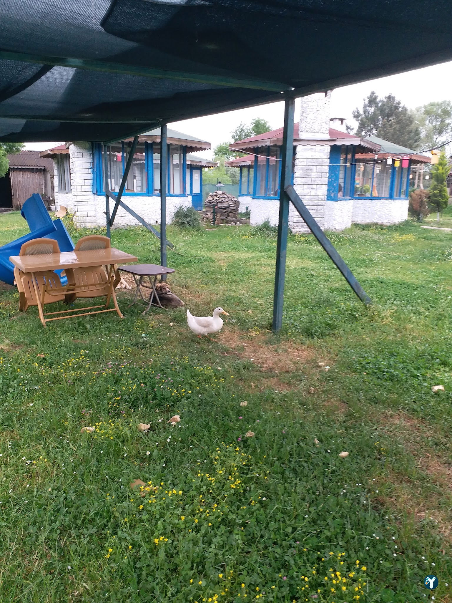 Nora Restaurant Kasap Ömer Et Mangal