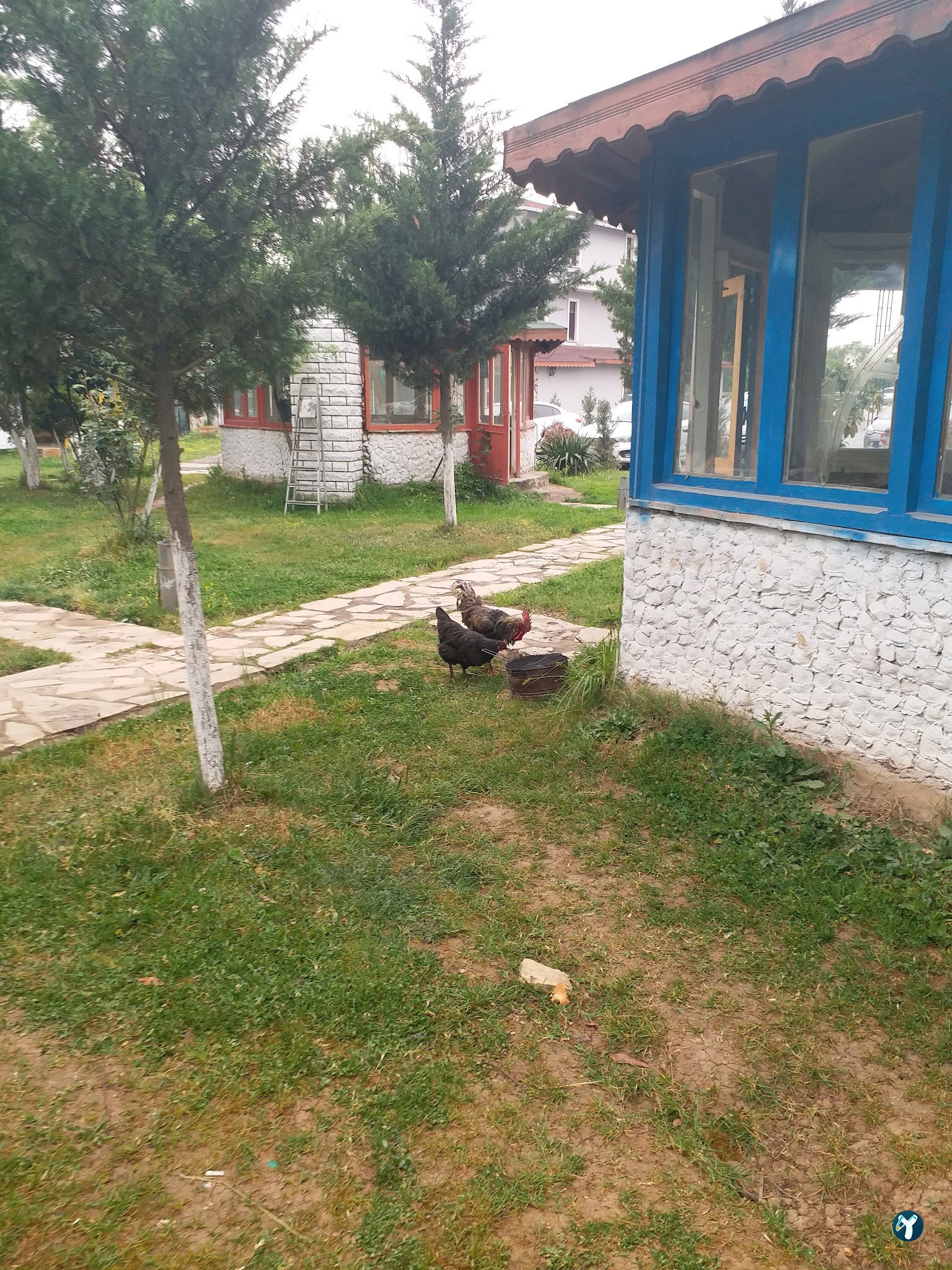 Nora Restaurant Kasap Ömer Et Mangal