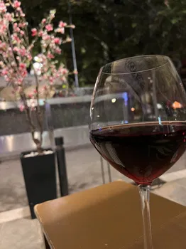 Finokio Restaurant resimleri