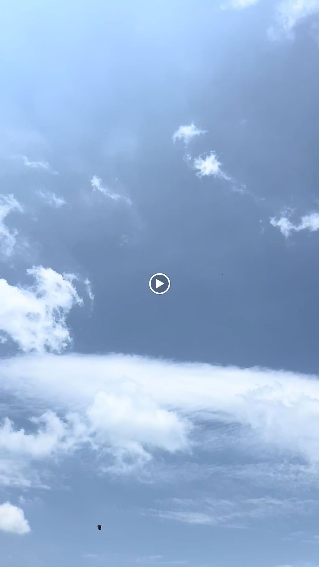 Divan Brasserie Kalamış