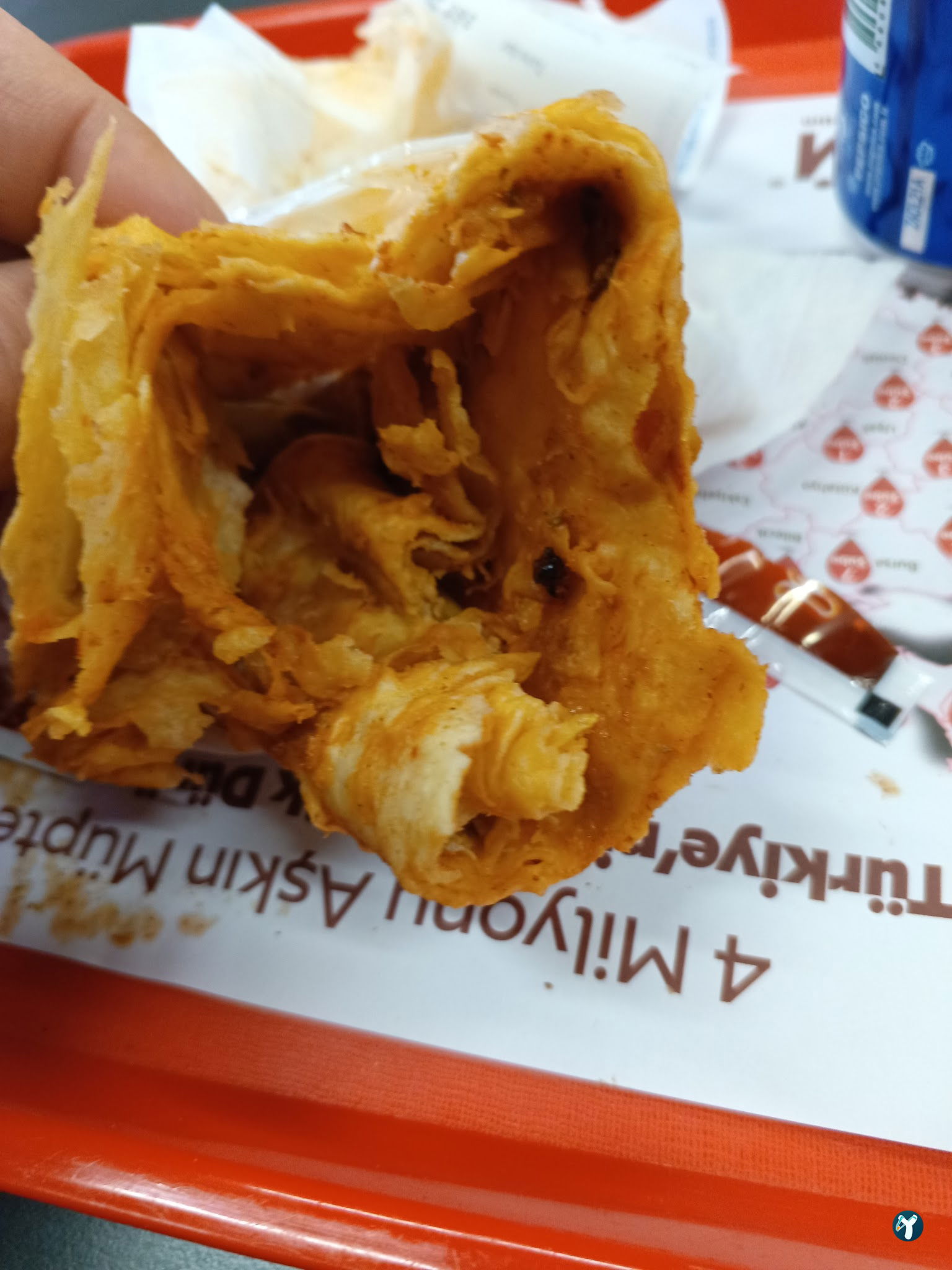 Öncü Döner