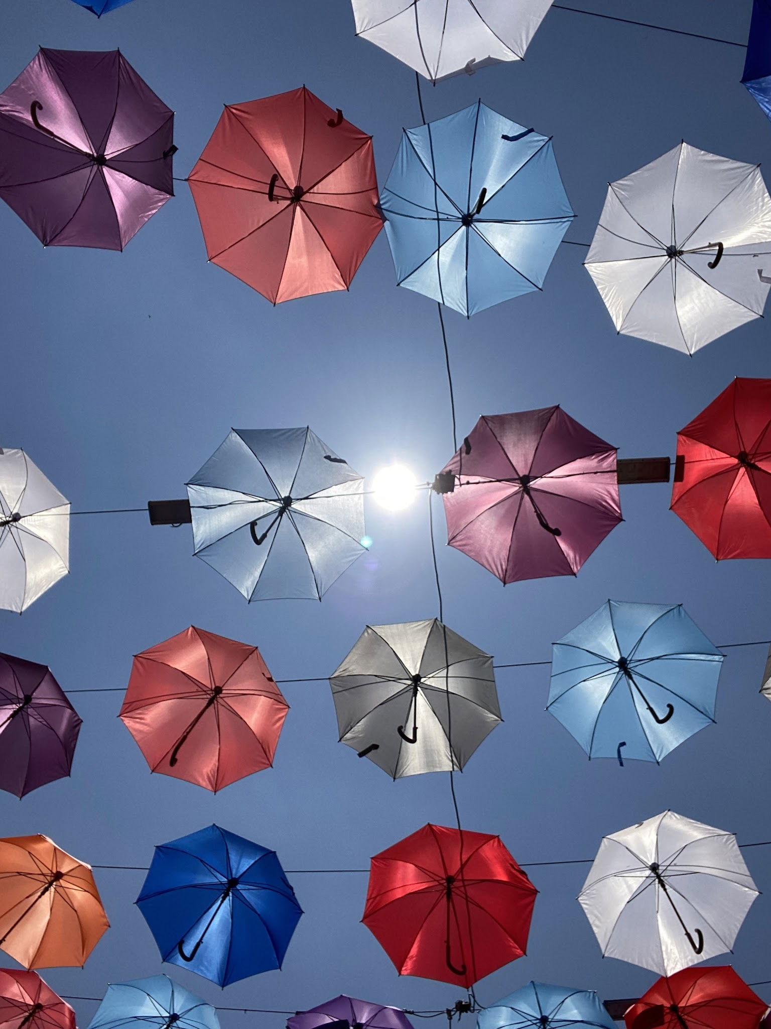 Kalei̇çi̇ Şampi̇yon Restaurant