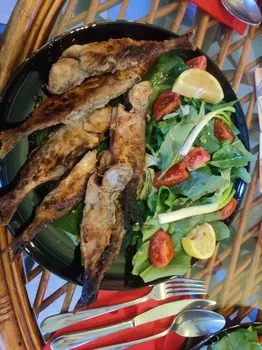 Treffpunkt Restoran resimleri