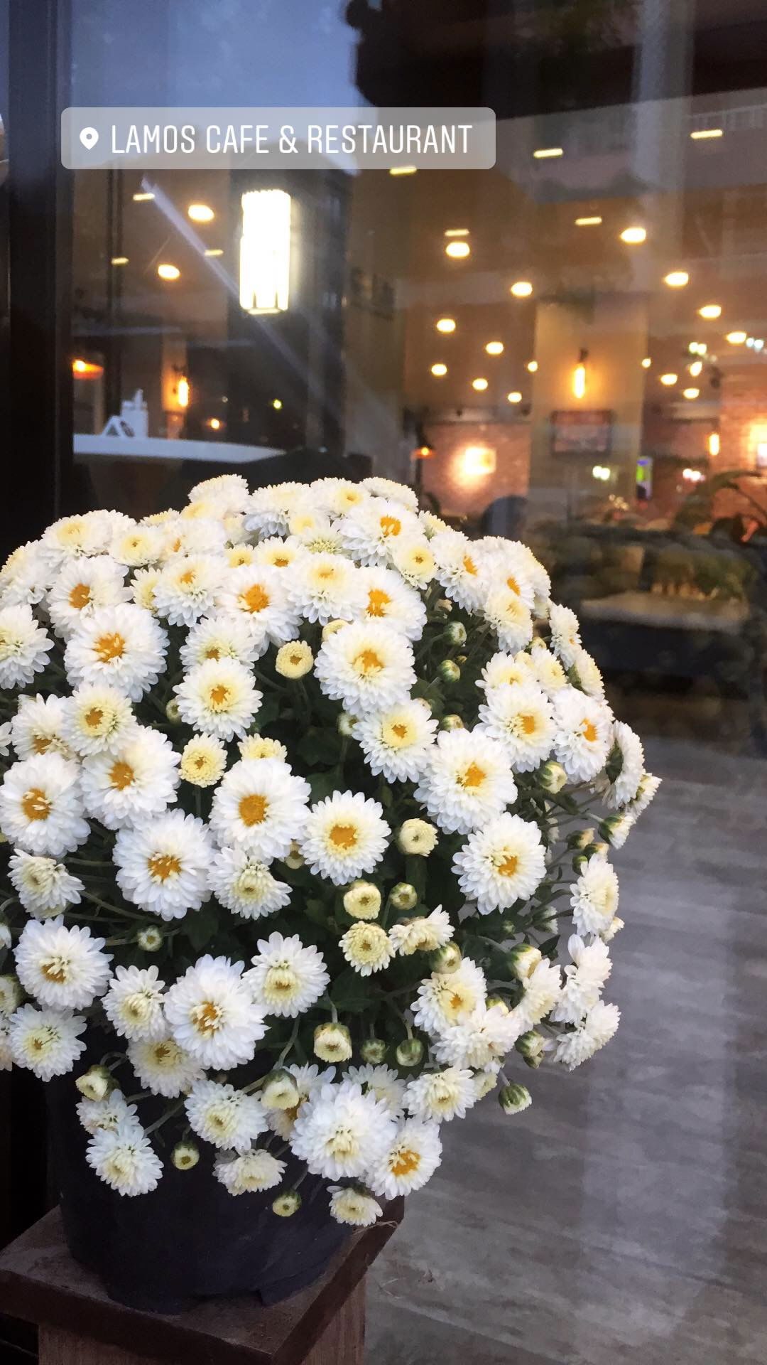 Lamos Cafe & Restaurant