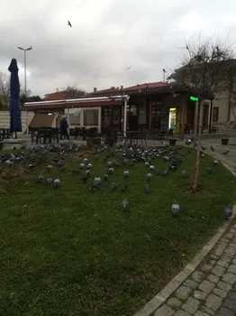 Selimpaşa Meydan Kahvehanesi resimleri