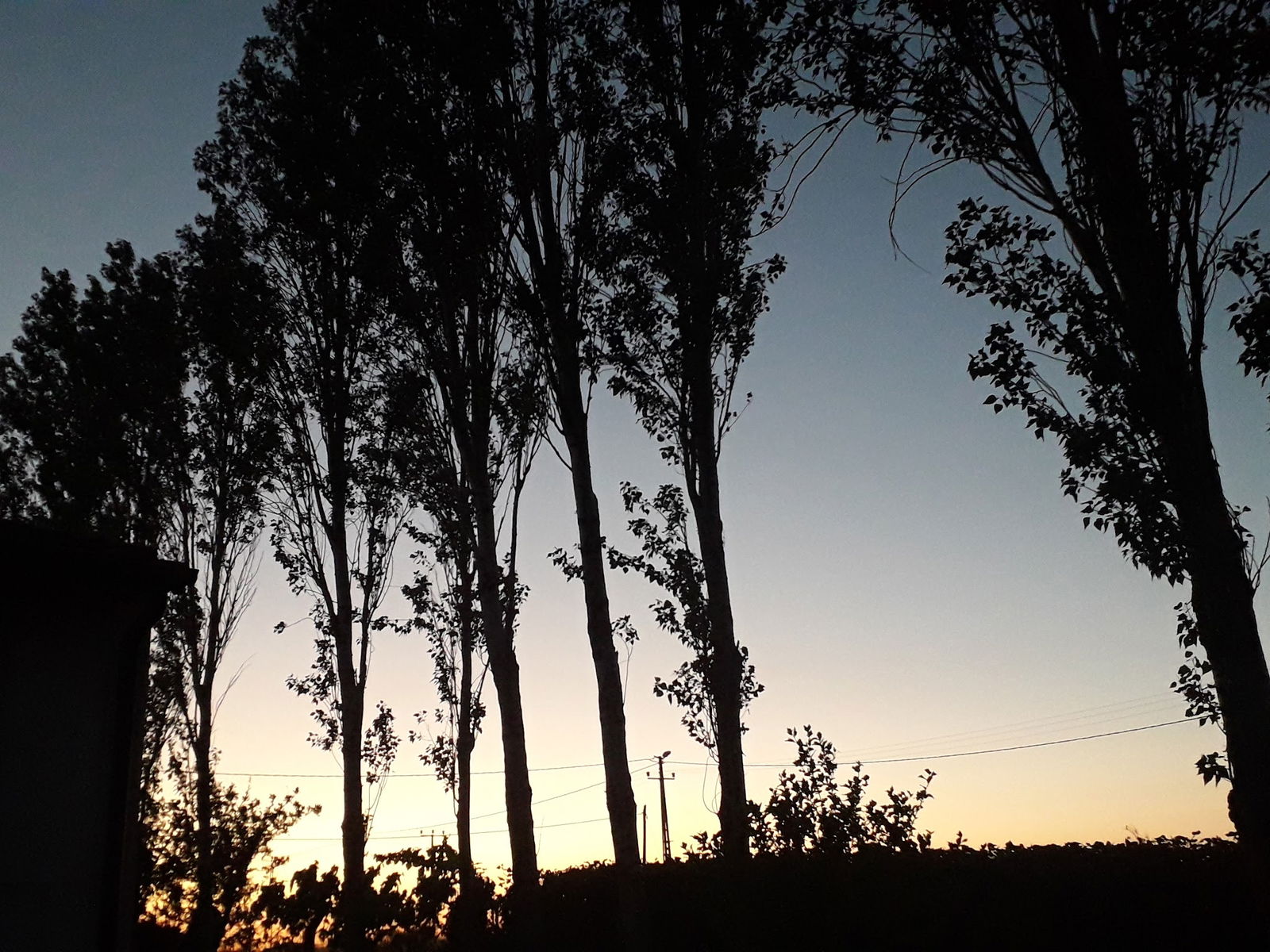 Selimpaşa Meydan Kahvehanesi